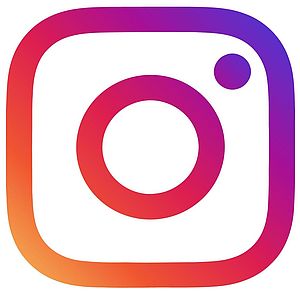 Logo Instagram mit einem Link zur Instagram-Seit der VHS Unterland